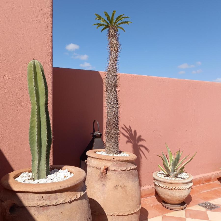 Riad Cherrata マラケシュ エクステリア 写真